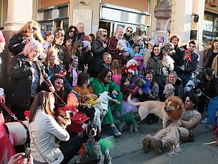 carnevale-e-solidarieta-a-viareggio