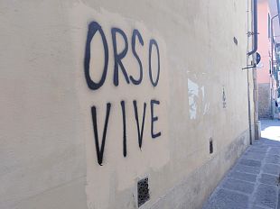 regione-mobilitazione-per-i-curdi-e-targa-per-orsetti