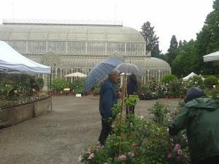 mostra-dei-fiori-allorticoltura-piove-ma-la-serra-da-un-milione-di-euro-resta-chiusa