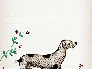 b306280021-idillio-con-cagnolino-di-alba-donati-in-libreria