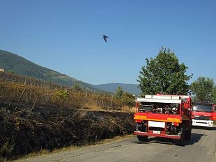 il-forte-vento-alimenta-incendi-in-maremma-e-isola-delba