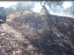 b309042203-incendio-boschivo-a-sesto-fiorentino