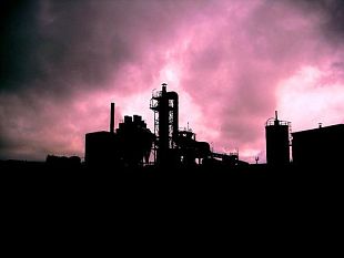 b104141512-testi-calo-nell-inceneritore-bruciano-le-ipocrisie