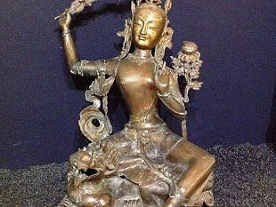 b307042237-passaggio-in-india-al-museo-di-storia-naturale-dell-universita