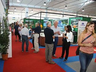 b307081727-tutto-pronto-per-infiera-a-lucca