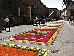 a906121316-la-grande-notte-dell-infiorata-a-cerreto-guidi