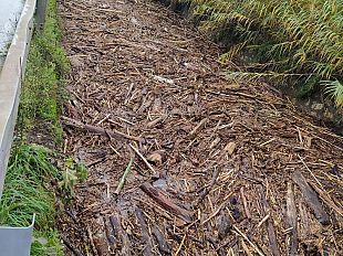 maltempo-esonda-larnaccio-stasato-il-ricortola