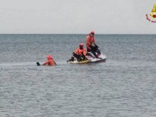 grosseto-salvato-un-delfino-spiaggiato-in-localita-santa-liberata