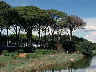 natura-in-toscana-calendario-delle-iniziative-per-lestate-in-toscana