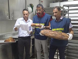 pane-di-altamura-piace-anche-in-toscana-attenti-al-falso-prodotto