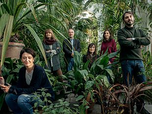 manifattura-tabacchi-home-edition-focus-sulle-piante
