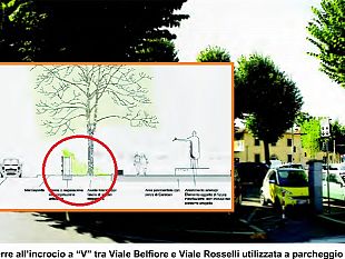 alberi-abbattuti-a-porta-al-prato-obiettivo-del-progetto-era-la-salvaguardia-del-verde