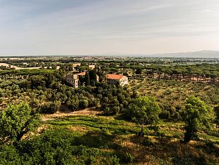 villa-donoratico-bolgheri-doc-rosso-2021
