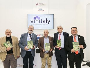 vermentino-vitigno-dei-cambiamenti-climatici