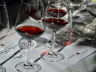 con-bike-and-wine-press-riparte-lenoturismo-sostenibile