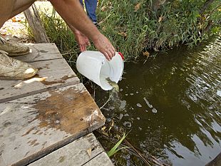 b208220103-caldo-oggi-citta-a-rischio-tra-le-piu-calde-d-europa