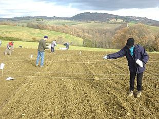 b302101624-orto-e-dintorni-otto-incontri-dedicati-alla-coltivazione-della-terra