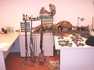 b012291331-luciana-reti-per-la-cattura-di-uccelli-e-specie-vietate