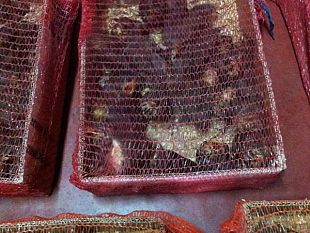 b308062157-torneranno-liberi-i-350-uccellini