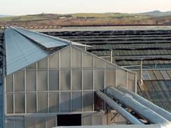 a803031348-iso-14001-e-di-torre-del-lago-la-prima-azienda-di-florovivaismo-certificata-in-gestione-ambientale