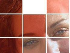 a804281927-punto-sui-mercati-nuova-collaborazione-mensile-con-sorparno-sgr