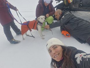 ritrovata-viva-dopo-14-giorni-la-canina-kate-dispersa-allabetone