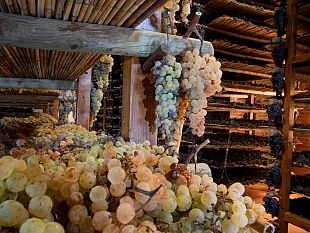 a-montepulciano-il-primo-grande-appuntamento-sul-vin-santo