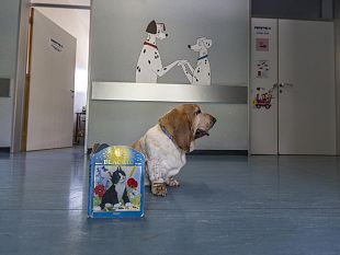 sanita-e-salute-nel-2017-i-toscani-stanno-bene