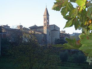 torna-calici-di-stelle-fra-gusto-e-divertimento-asp