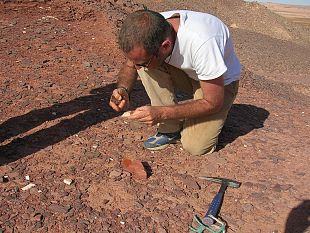 una-meteorite-e-caduta-fra-prato-e-pistoia