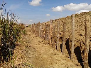 consorzio-di-bonifica-lavori-in-corso-a-signa-sul-fosso-di-piano