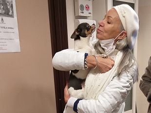 cani-e-gatti-potranno-entrare-in-strutture-sanitarie-ed-ospedali