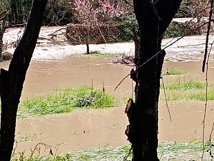 linvaso-di-bilancino-non-e-esondato