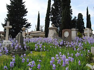 alla-scoperta-del-cimitero-degli-inglesi-con-gli-angeli-del-bello