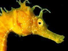 a902192315-comunicare-il-mare-da-sabato-21-febbraio-ai-bottini-dell-olio-di-livorno