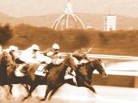 b112231928-sostegno-all-ippica-in-consiglio-regionale-unanimita-su-mozione-bipartisan