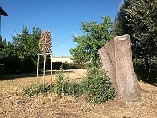 verde-urbano-selezione-di-sponsor-il-recupero-del-patrimonio-arboreo-cittadino