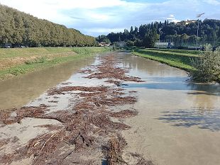 piena-dellarno-colpa-delle-canne-tagliate