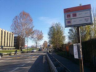 blitz-della-polizia-municipale-allosmannoro-scoperto-un-mercato-abusivo