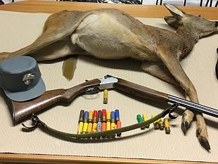 caccia-segnalazioni-ai-carabinieri-forestale-per-attivita-illecite-durante-la-notte