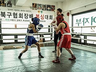 la-boxe-nel-cinema-della-corea-del-sud