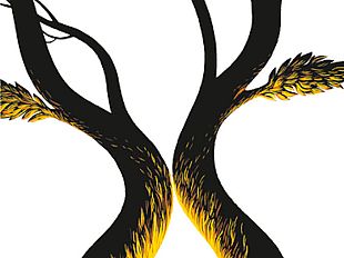 silvia-cassioli-presenta-il-suo-romanzo-il-capro