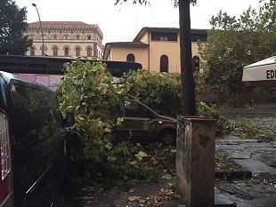 maltempo-su-firenze-alberi-caduti-si-ferma-acquedotto-anconella