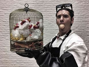 35-spettacoli-21-titoli-8-prime-nazionali