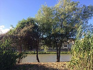 firenze-voragine-sul-lungarno