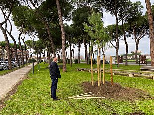 empoli-in-attesa-di-900-alberi-del-progetto-carbon-neutral