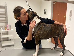 a-siena-apre-piccolo-principe-il-primo-centro-benessere-per-animali