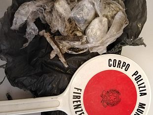 cascine-piper-scova-droga-nascosta-20-cm-sotto-terra