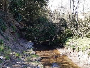 grecale-in-arrivo-nel-valdarno