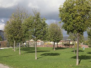 25000-metri-quadrati-e-230-alberi-in-piu-al-parco-di-san-donato